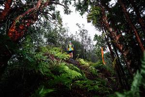 BIB: 
                            <button type="button" onclick="openModal(26205525)" class="btn btn-primary btn-sm float-right btn-popup" data-toggle="modal" data-target=".modal-high-quality">
                        <i class="fas fa-shopping-cart"></i> Add to Cart
                    </button>
                                            <button type="button" onclick="isThisMe(26205525, true)" class="btn btn-success btn-sm float-right btn-popup btn-isme hidden" data-toggle="tooltip" data-placement="bottom" title="นี่คือรูปของคุณใช่ไหม คลิกที่นี่เพื่อเอาเข้าอัลบั้ม">
                        <i class="fas fa-plus"></i> Add to album
                    </button>
                    <button type="button" onclick="isThisMe(26205525, false)" class="btn btn-warning btn-sm float-right btn-popup btn-isnotme hidden">
                        <i class="fas fa-ban"></i> Remove from album
                    </button>